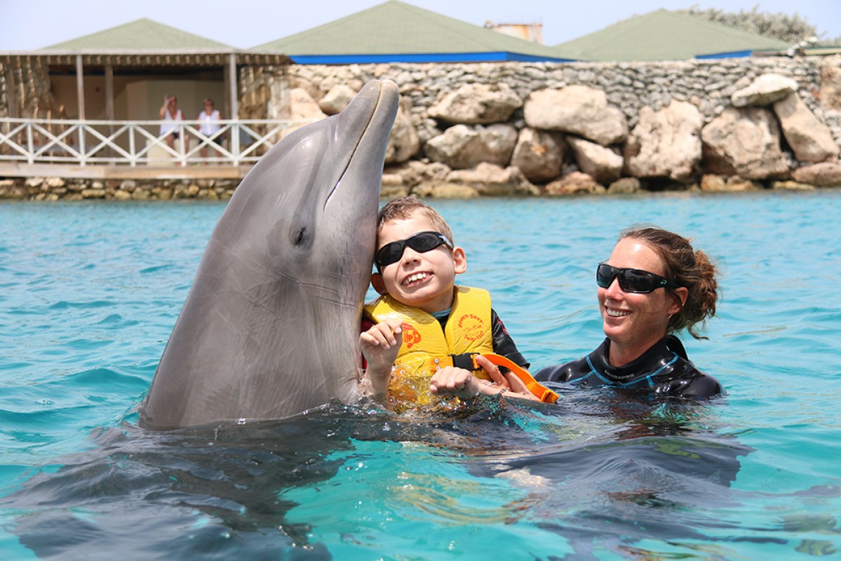 Curacao Dolphin Therapy Center 