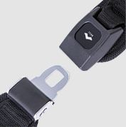 Seat belt for WHILL Model C2, F
